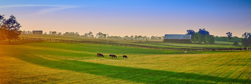 manure spreaders on a horse farm