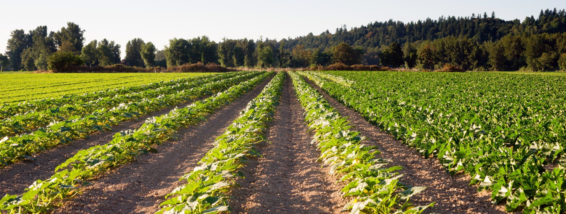 The Best Manure Injection Systems for Farms