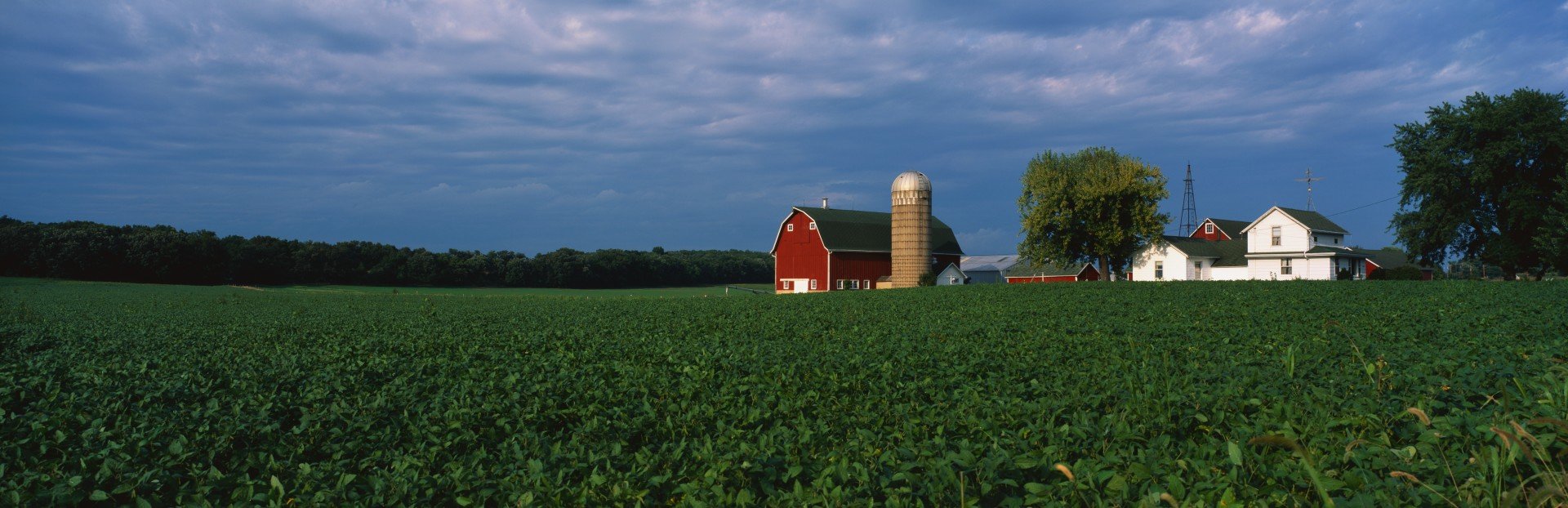 Vertical Till Injectors for Farms and Agricultural Compounds