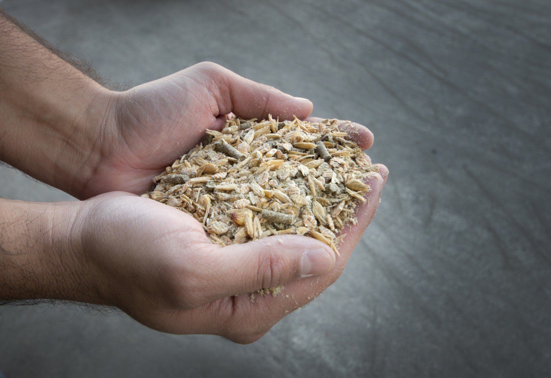 Feed Type Greatly Affects Your Manure Quality